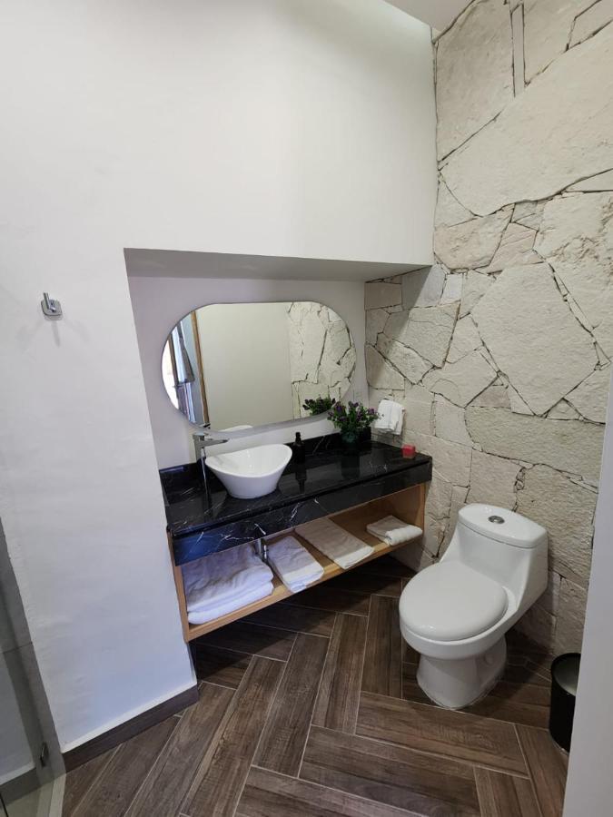Hotel Ursula Concept 케레타로 외부 사진